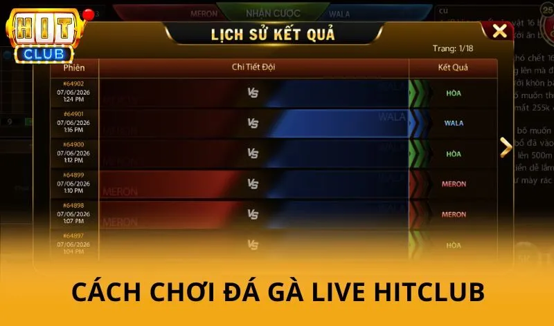Đá gà live Hitclub - Theo dõi các trận đấu hấp dẫn theo thời gian thực 4 Cách chơi Đá Gà Live Hitclub mới nhất