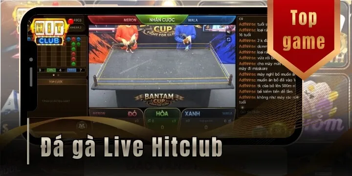 Đá gà live Hitclub - Theo dõi các trận đấu hấp dẫn theo thời gian thực 