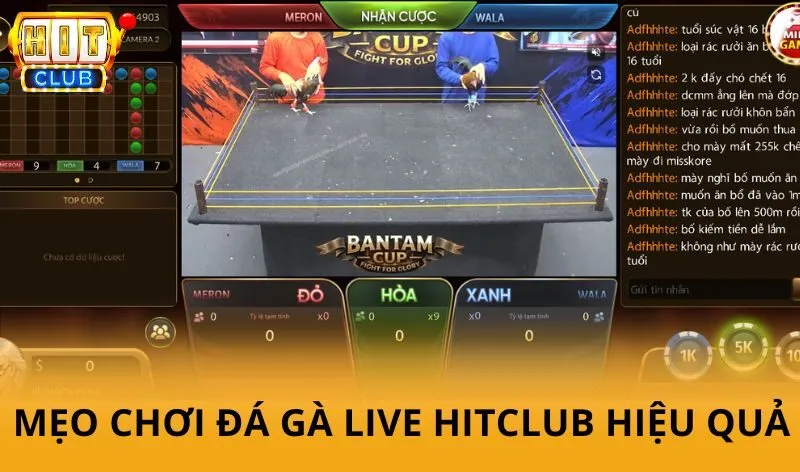 Đá gà live Hitclub - Theo dõi các trận đấu hấp dẫn theo thời gian thực 5 Bật mí một số mẹo chơi Đá gà Live Hitclub hiệu quả