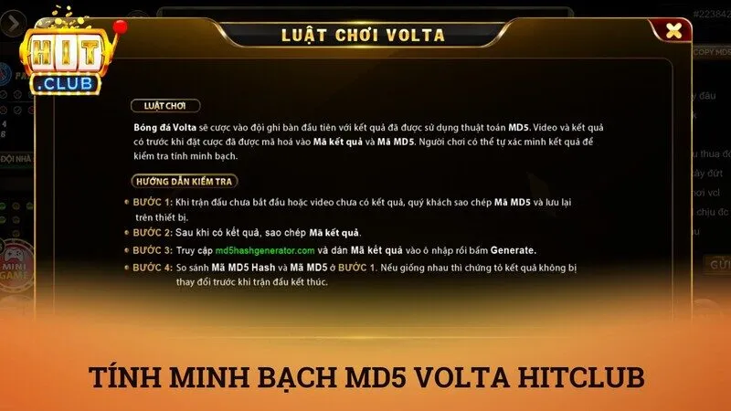 Quy trình 4 bước kiểm tra tính minh bạch bằng mã MD5